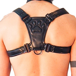 Brutus Harnais Puppy Harness Noir
